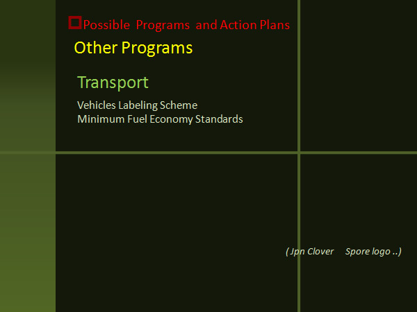Possible Programs and Action Plans