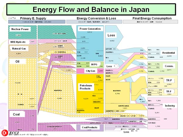 Energy Flow and Balance in Japan