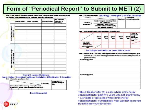 Form of “Periodical Report” to Submit to METI (2)
