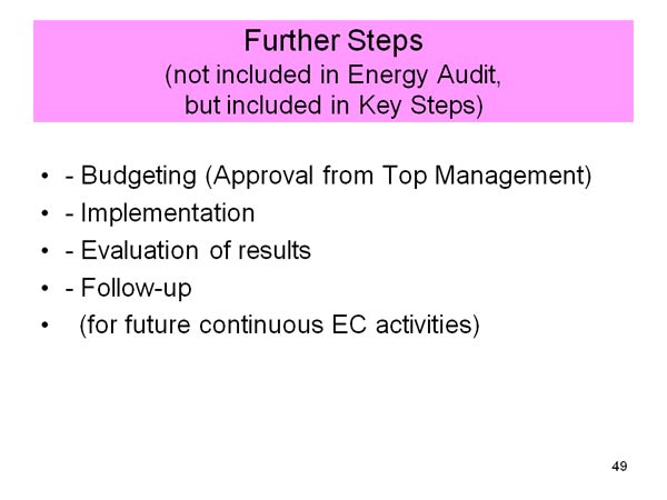 Further Steps (not included in Energy Audit, but included in Key Steps)