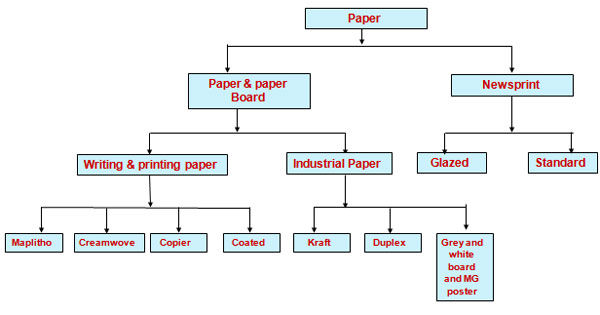 Structure of Paper Industry