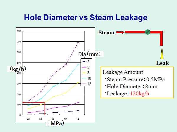 Hole Diameter vs Steam Leakage