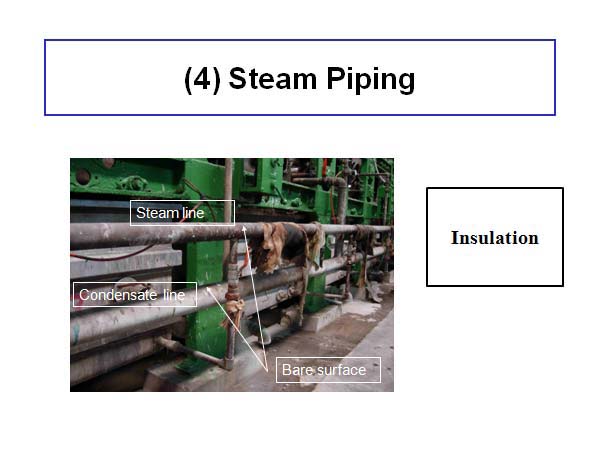 (4) Steam Piping 