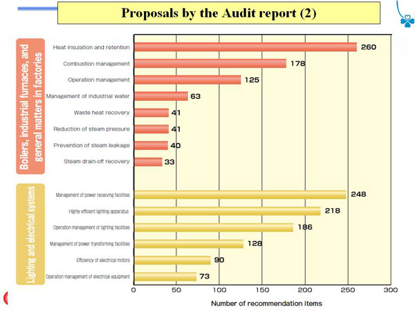 Proposals by the Audit report (2)