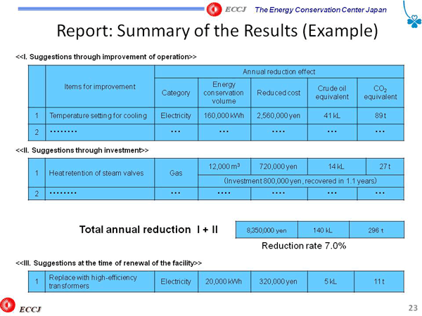 Report: Summary of the Results (Example)
