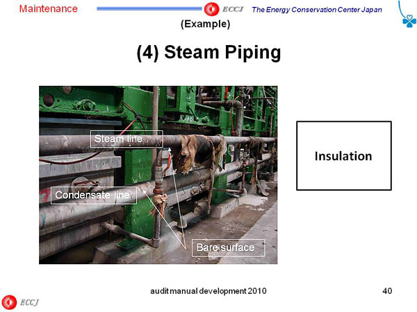 (4) Steam Piping