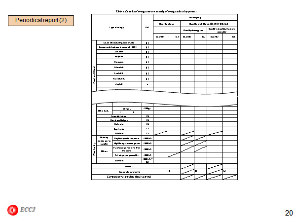 Periodical report (2)
