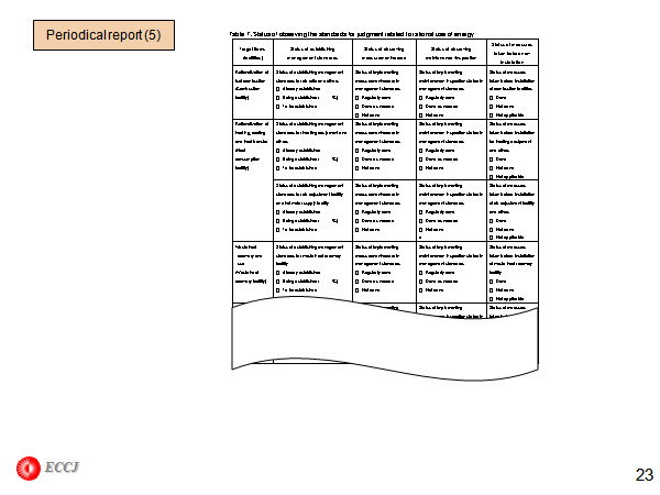 Periodical report (5)