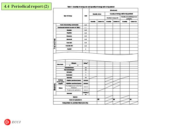 4.4  Periodical report (2)