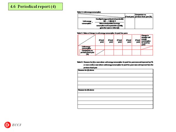 4.6  Periodical report (4)