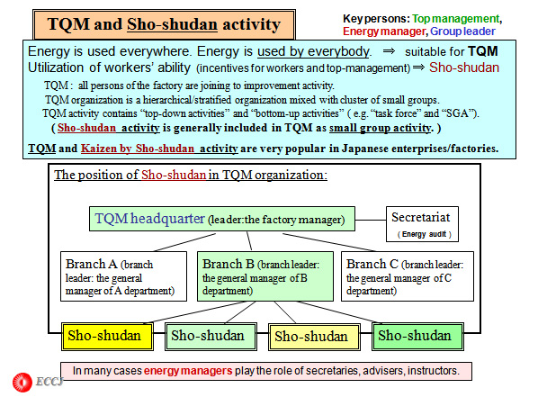TQM and Sho-shudan activity
