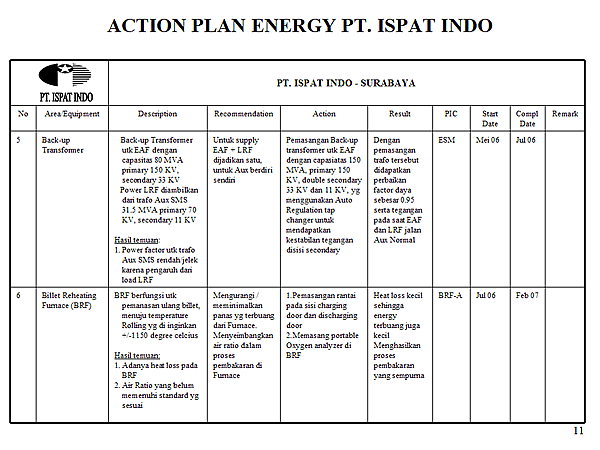 ACTION PLAN ENERGY PT. ISPAT INDO