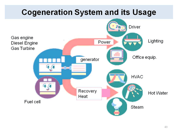 Cogeneration System and its Usage