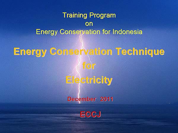 Training Program on Energy Conservation for Indonesia / Energy Conservation Technique for Electricity