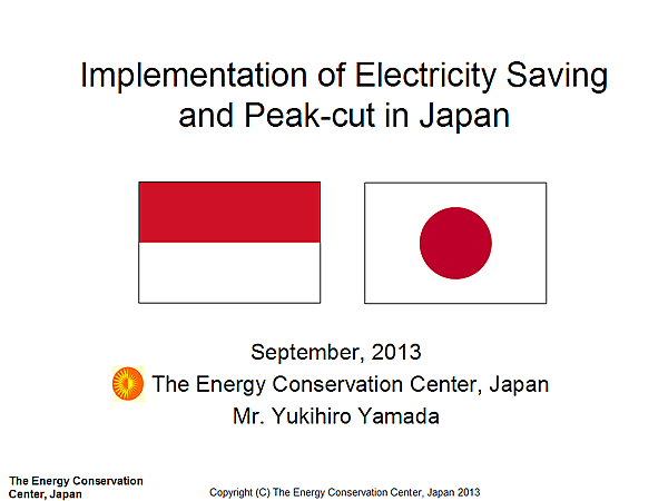 Implementation of Electricity Saving and Peak-cut in Japan