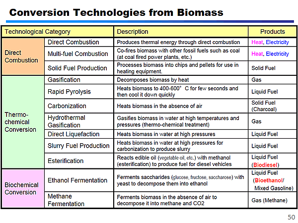 Conversion Technologies from Biomass