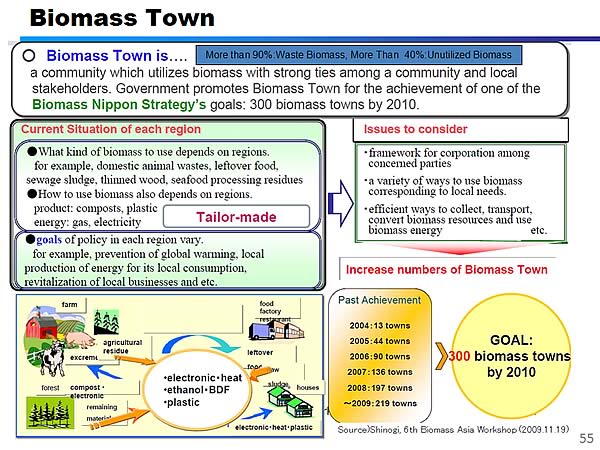 Biomass Town