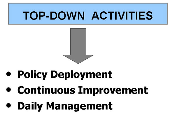 TOP-DOWN  ACTIVITIES 