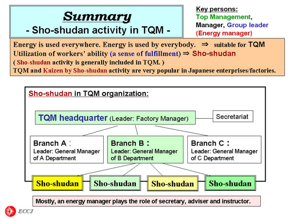 Sho-shudan activity in TQM 