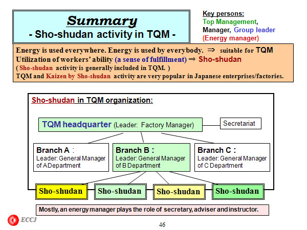 Summary - Sho-shudan activity in TQM -