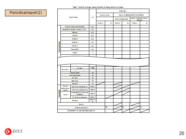 Periodical report (2)