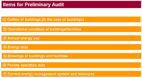Items for Preliminary Audit