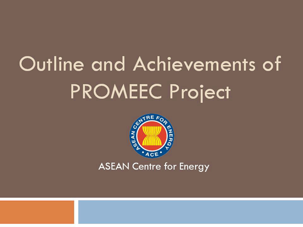 Outline and Achievements of PROMEEC Project