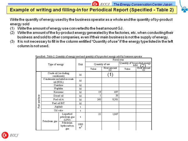 Example of writing and filling-in for Periodical Report (Specified - Table 2)