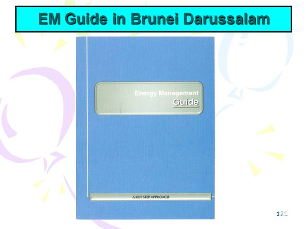 EM Guide in Brunei Darussalam