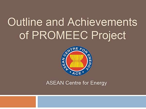 Outline and Achievements of PROMEEC Project