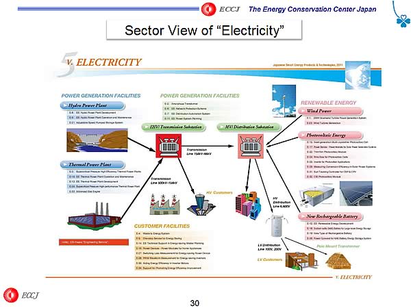 Sector View of Electricity 