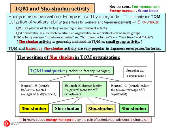 TQM and Sho-shudan activity
