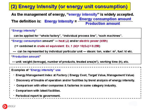 (2) Energy intensity (or energy unit consumption)