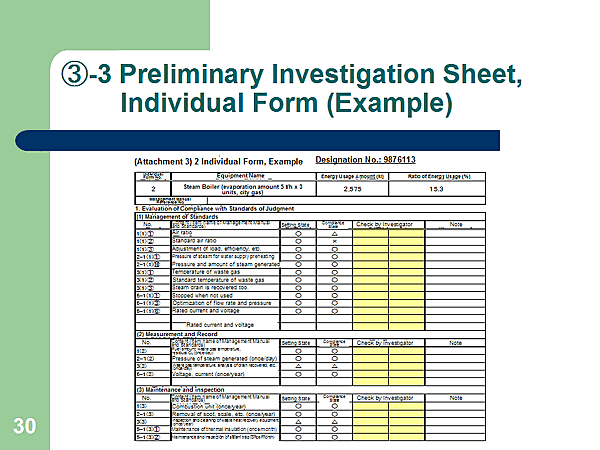 (3)-3 Preliminary Investigation Sheet, Individual Form (Example)