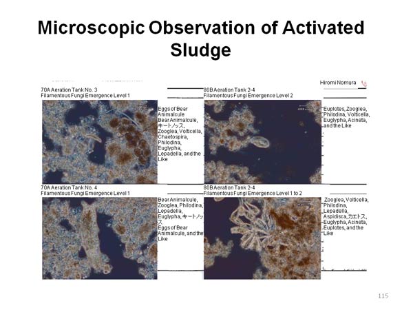 Microscopic Observation of Activated Sludge