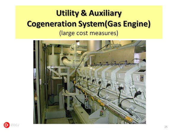 Utility & Auxiliary Cogeneration System(Gas Engine)