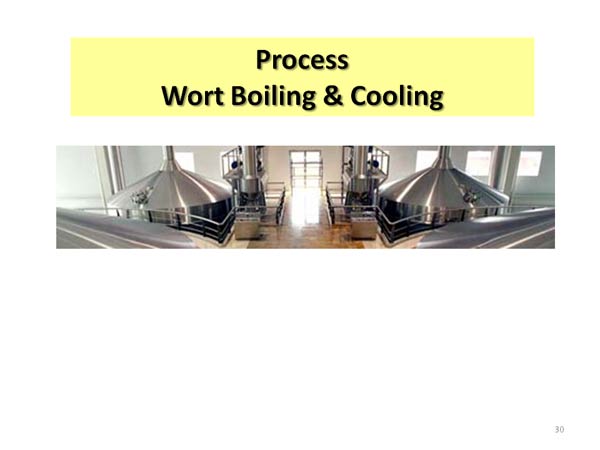 Process Wort Boiling & Cooling