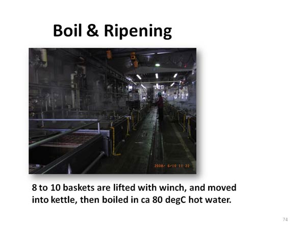 Boil & Ripening