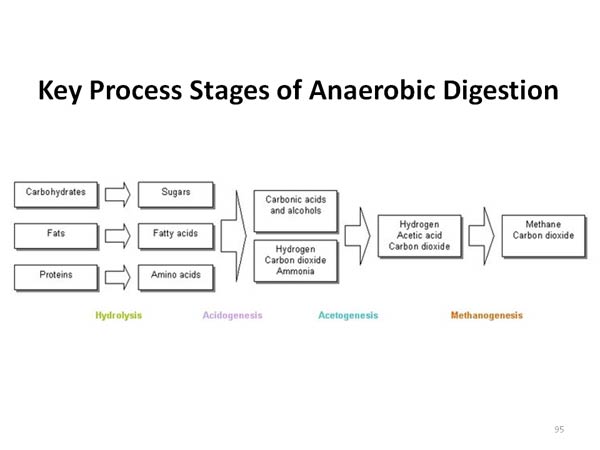 Key Process Stages of Anaerobic Digestion