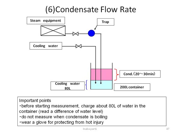 (6)Condensate Flow Rate