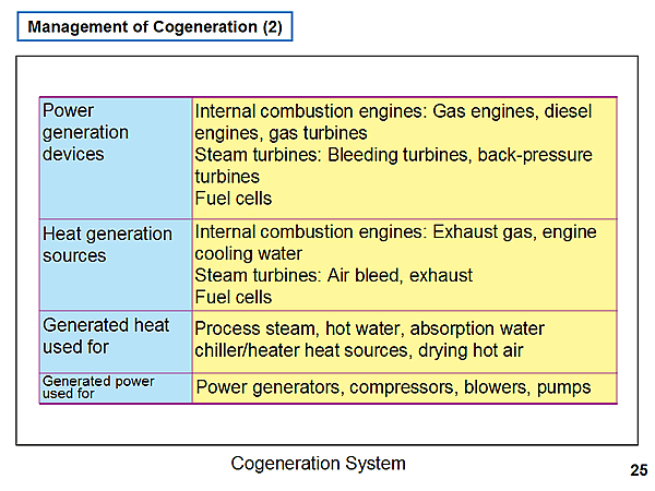Management of Cogeneration (2)