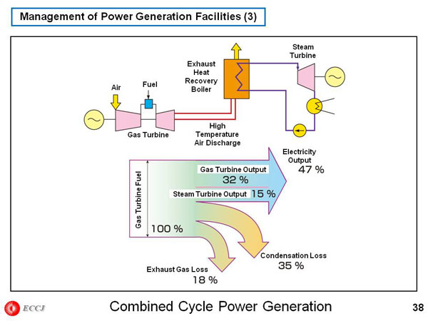 Management of Power Generation Facilities (3)