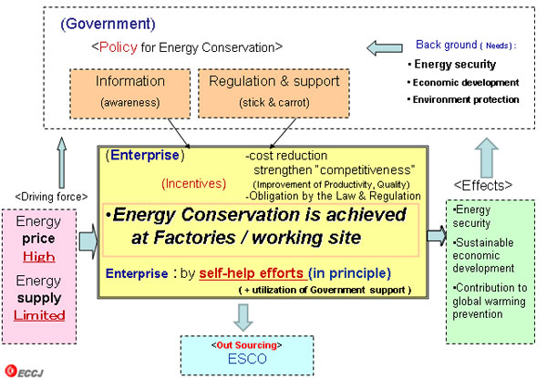 Main Activities of ECCJ 