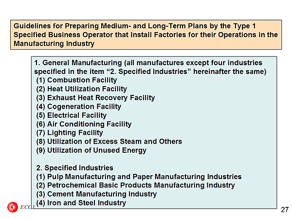 Guidelines for Preparing Medium- and Long-Term Plans by the Type 1