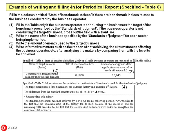 Example of writing and filling-in for Periodical Report (Specified - Table 6)