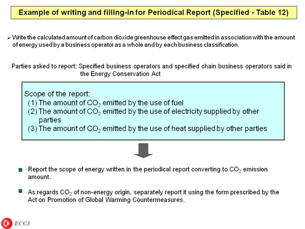 Example of writing and filling-in for Periodical Report (Specified - Table 12)