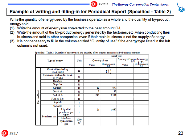 Example of writing and filling-in for Periodical Report (Specified - Table 2)
